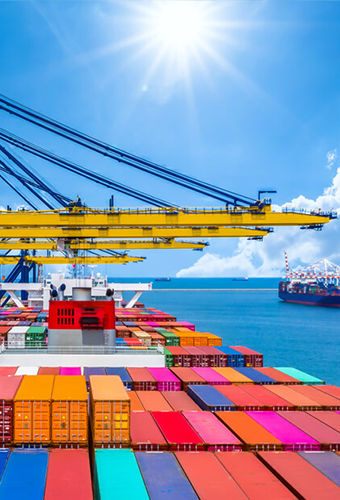  Everest Shipping Agency 